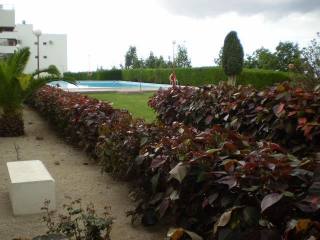 Apartment For Sale in Parque de la..