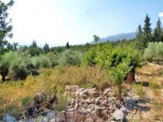 Crete Land For Sale In Countryside