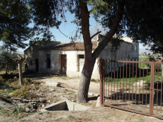 1 bedroom, 1 bathroom finca, (plot..