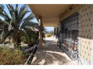 Large house in Jumilla (Ref. PV13073)