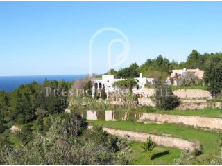 Magnificent authentic finca in the..