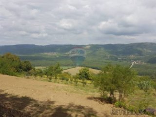 Ruševna kuća podno Motovuna