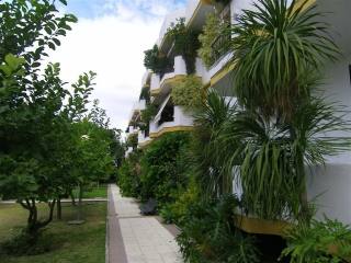 Apartment - A huge 4 bedroom, 2..
