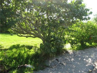 Land For Sale: 590 Companion Way..