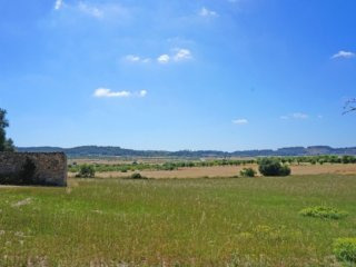 Nice Plot In Sineu With Amazing Views