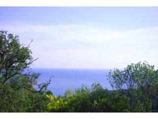 Plot with sea views
