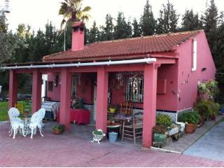 Villa - Beautiful 3 bedroom country..