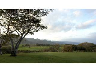 Land Opportunity in Colinas De Golf