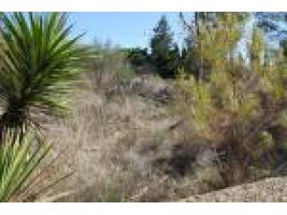 Plot, Alicante (Costa Blanca), Alfaz..