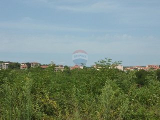 Poreč-Varvari, Lijepo poljoprivredno zemljište s pristupnim