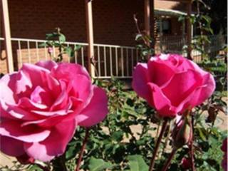 St Marys Villa - DUBBO - NSW