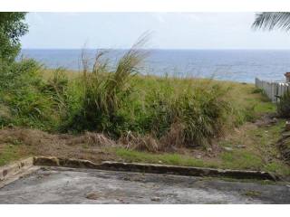Property For Sale: Green Point Cliff..
