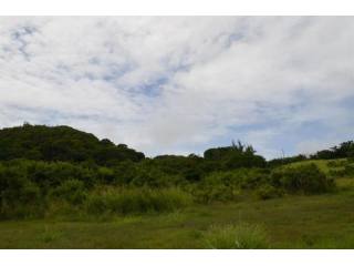Property For Sale: Stewarts Hill, St...