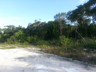 Singlefamilyvacant - This lot is..