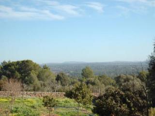 Beautiful plot with licence and views..