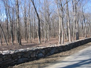Land For Sale: 209 Finch Road North..