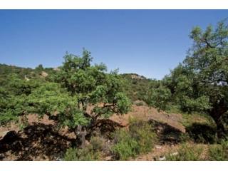 Huge Plot of Land For Sale