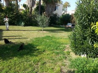 Land - PLOT OF LAND IN..