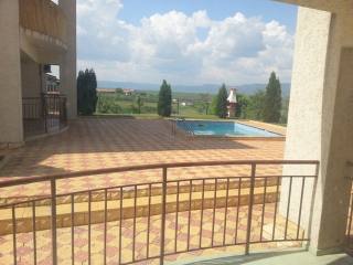 Spacious 1-bedroom apartment near Sunny..