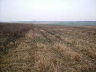 Land in Kotlentsi, Dobrich