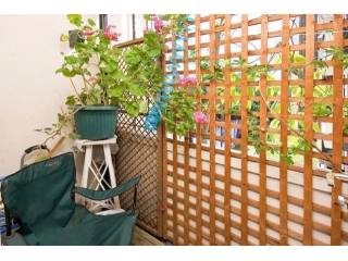 1 bed flat to rent
