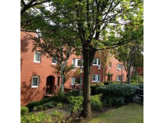 2 Mortlach Ct, 98 Buccleuch St..