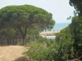 Plot For Sale: Fonte Santa, Loule..