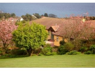 Property Wise - Estate Agents Isle of..