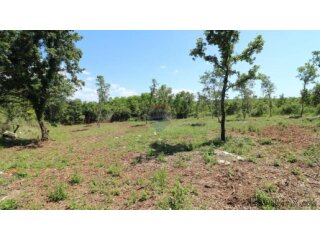 VIŠNJAN, okolica- građevinsko zemljište 2232 m2