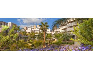 Apartment - Welcome to Bahia de la..