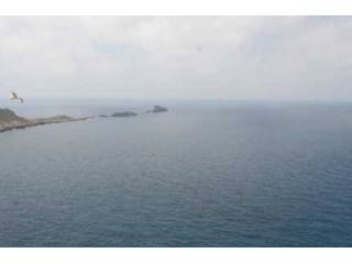 First Sea Line Plot In El Toro