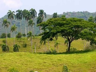 Lots For Sale On The North Coast Of The..