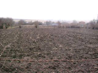 Land in Polkovnik Minkovo, Dobrich