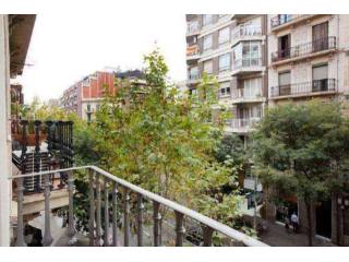 Spacious one bedroom apartment