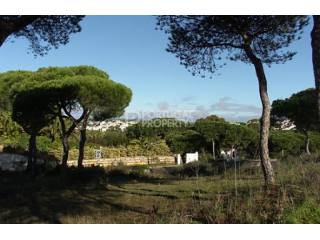 Plot of land