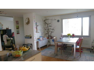 4 1/2 room apartment in Zurich - Kreis..