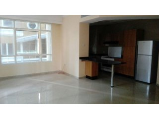 Spacious apartment with storage in..