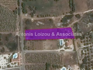 3, 243 m2 field in Peyia