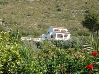 Finca for sale in Pego