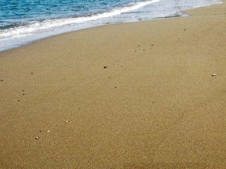 Land - St. Margaret's Bay - For Sale