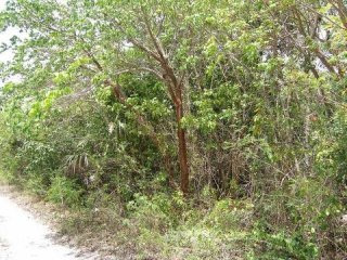 Singlefamilyvacant - Lot 15 Block 90..