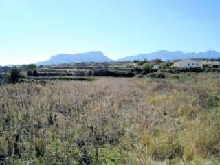 Plot in Benissa