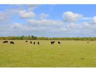 Farm House For Sale: 27914 Waller..