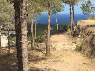 - Land - Alicante - For Sale