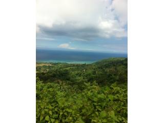 Land For Sale Lombok Nusa Tenggara..