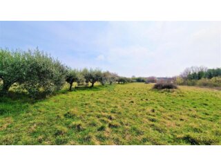 Istra, Umag - Kombinacija građevinskog i poljoprivrednog zem