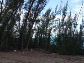 Singlefamilyvacant - A spacious..
