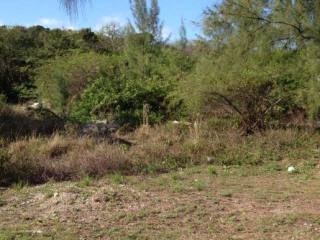 Singlefamilyvacant - This large..