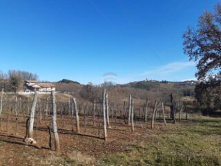 Istra, Karojba građevinsko zemljište