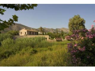 Finca in Jalon